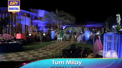 Tum Milay Ep 18 Promo - ARY Digital