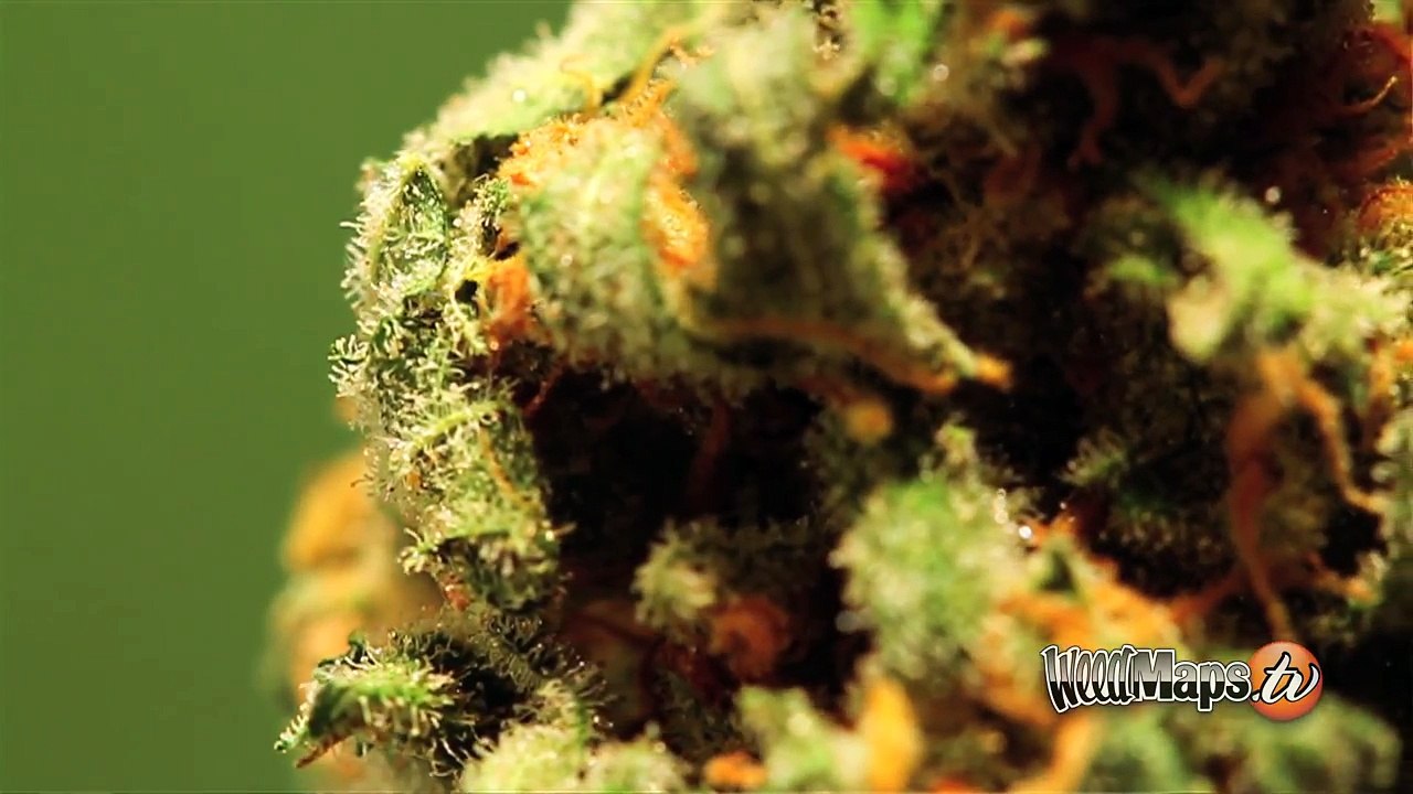 Know What is CBD?