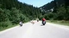 Deer jumps over motorcyclist
