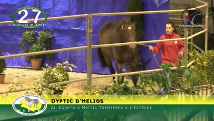 27 - Dyptic d'Helios