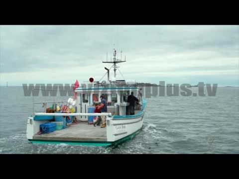 Next - Chinema - Life on the Line/Manchester by the Sea - 3 Nentor 2016 - Show - Vizion Plus