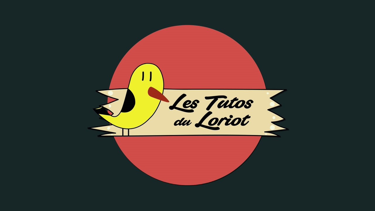 Les tutos du Loriot - Le gel wc