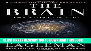 Best Seller The Brain: The Story of You Free Read