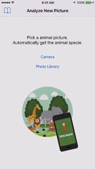 Animal Identifier Test 15