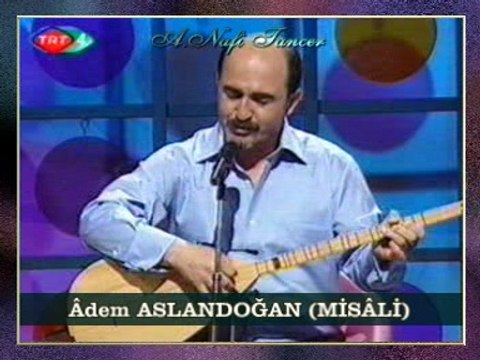 Âdem ASLANDOĞAN (MİSÂLİ) - Hoşgörü (Mührü Misâli)