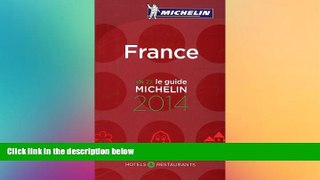 READ FULL  MICHELIN Guide France (in French) (Michelin Guide/Michelin) (French Edition)  Premium