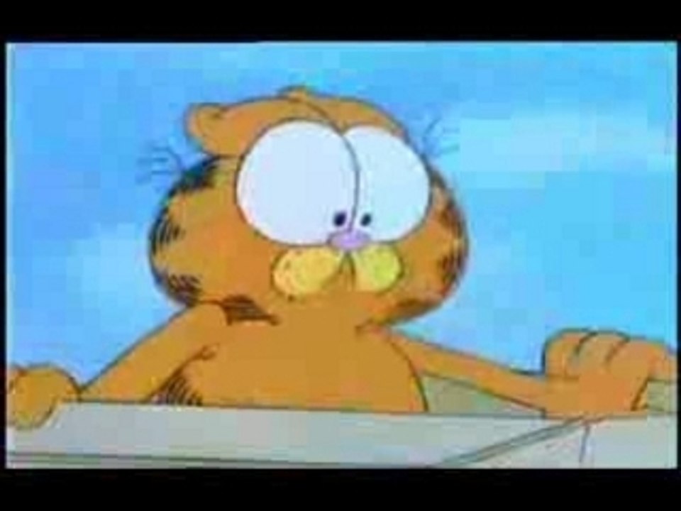 Garfield: box o fun