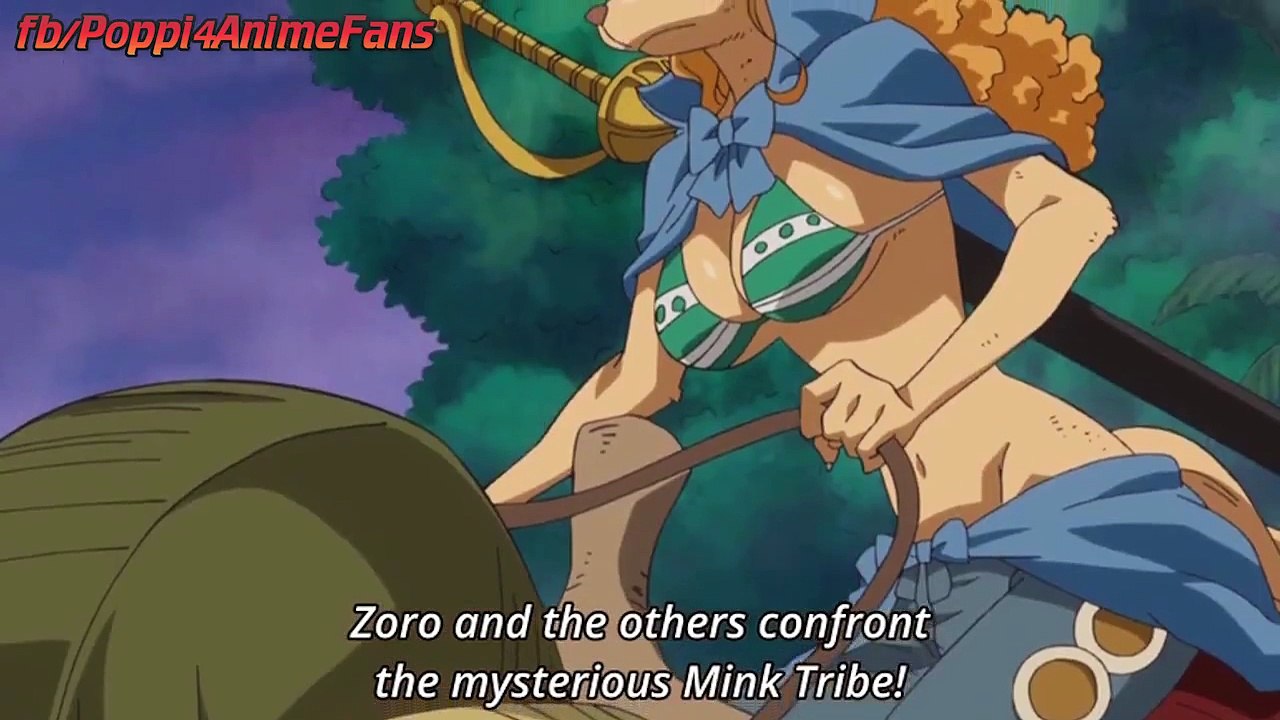 LUFFY VS MINK TRIBE BATTLE BEGINS STARTED REVIEW  !!! One Piece
