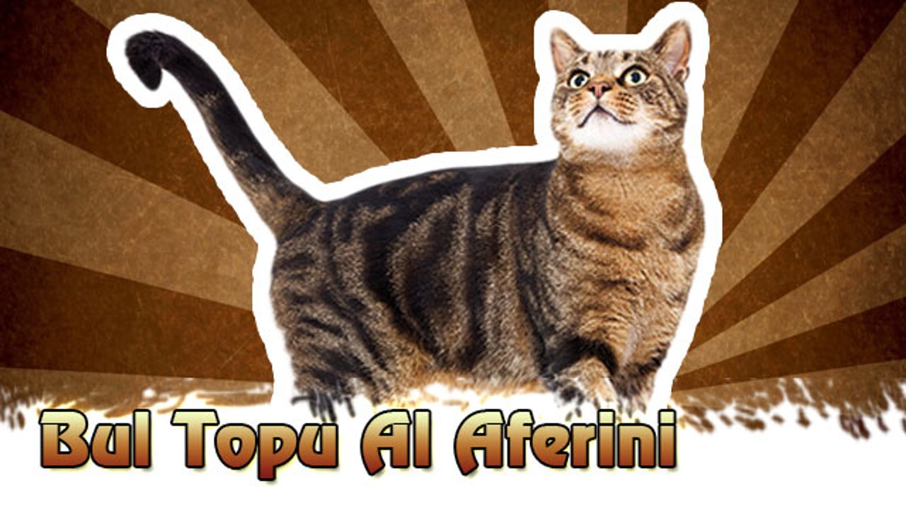Bul Topu Al Aferini