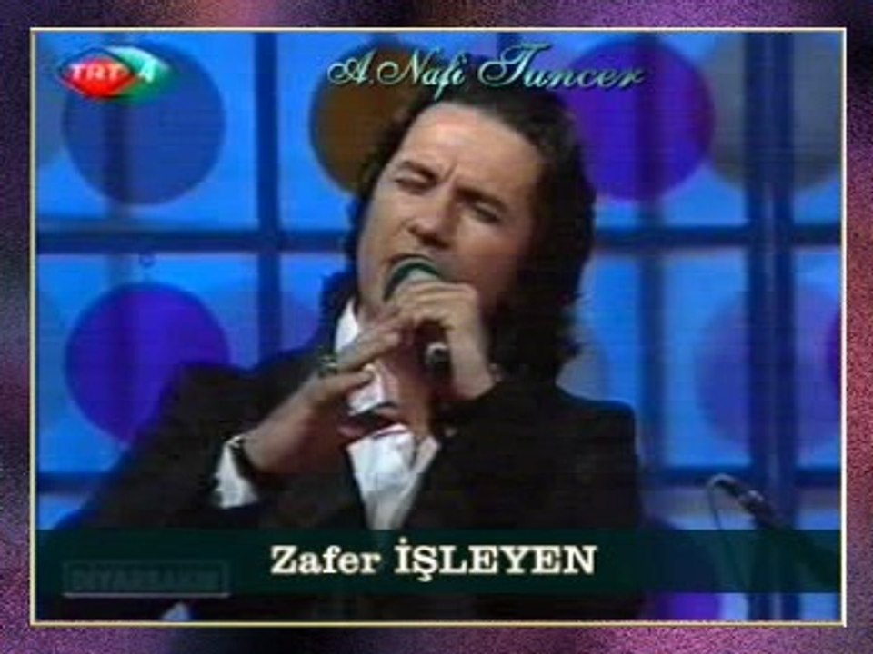 Zafer İŞLEYEN - Yollar