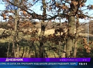 Dnevnik, 3 novembar 2016. (RTV Bor)