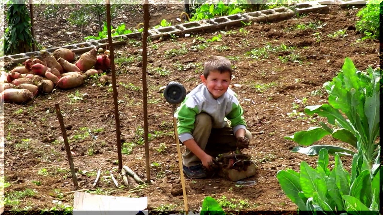 emHOMEavlija - mud 2010