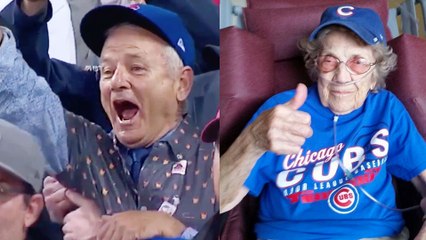 Best Cubs World Series Win Fan & Celebrity Reactions