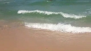 Salva-vidas tiram suspeito de roubo pelos cabelos do mar