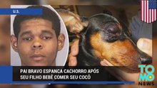 Pai bravo espanca cachorro após seu filho comer seu cocô.