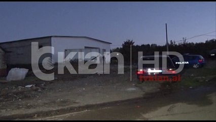 4.2 ton kanabis në Rrëshen, 22 në pranga