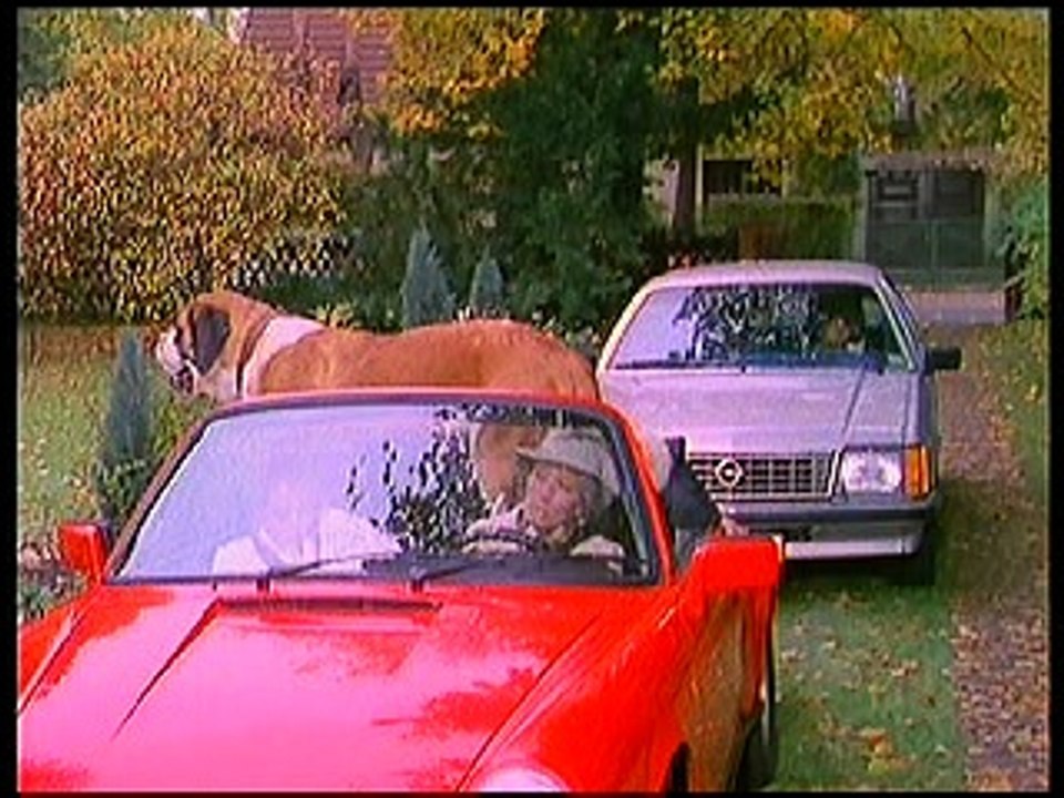 3. ) Auf den Hund gekommen