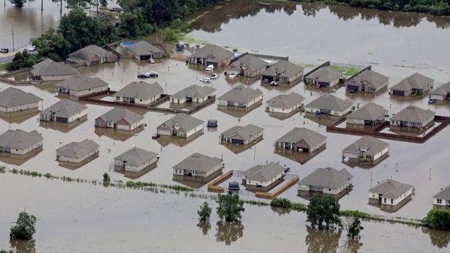 Louisiana Needs Your Help, America — Flood Relief Volunteers Speak