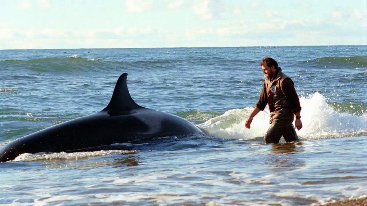 El faro de las orcas (2016) - Trailer Español