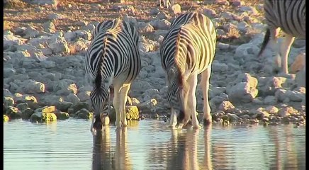 Spongebob Squarepants | Squidward's Embarassing Moment | Nick