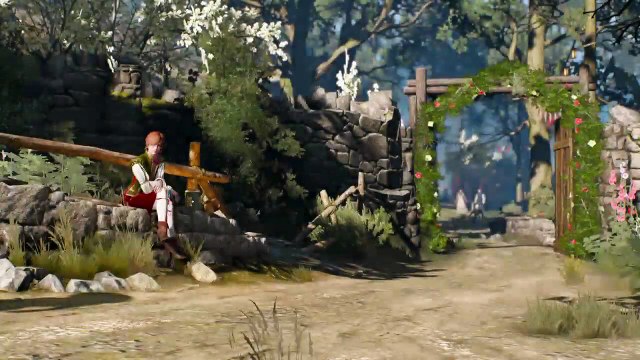 Privat sream Witcher3 Dahlia-Avon