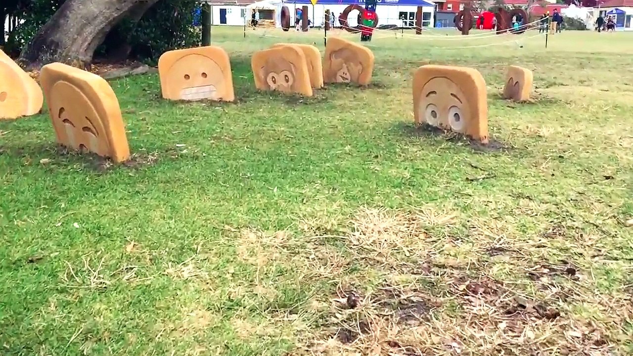 Annual Sculpture by the Sea Exhibition