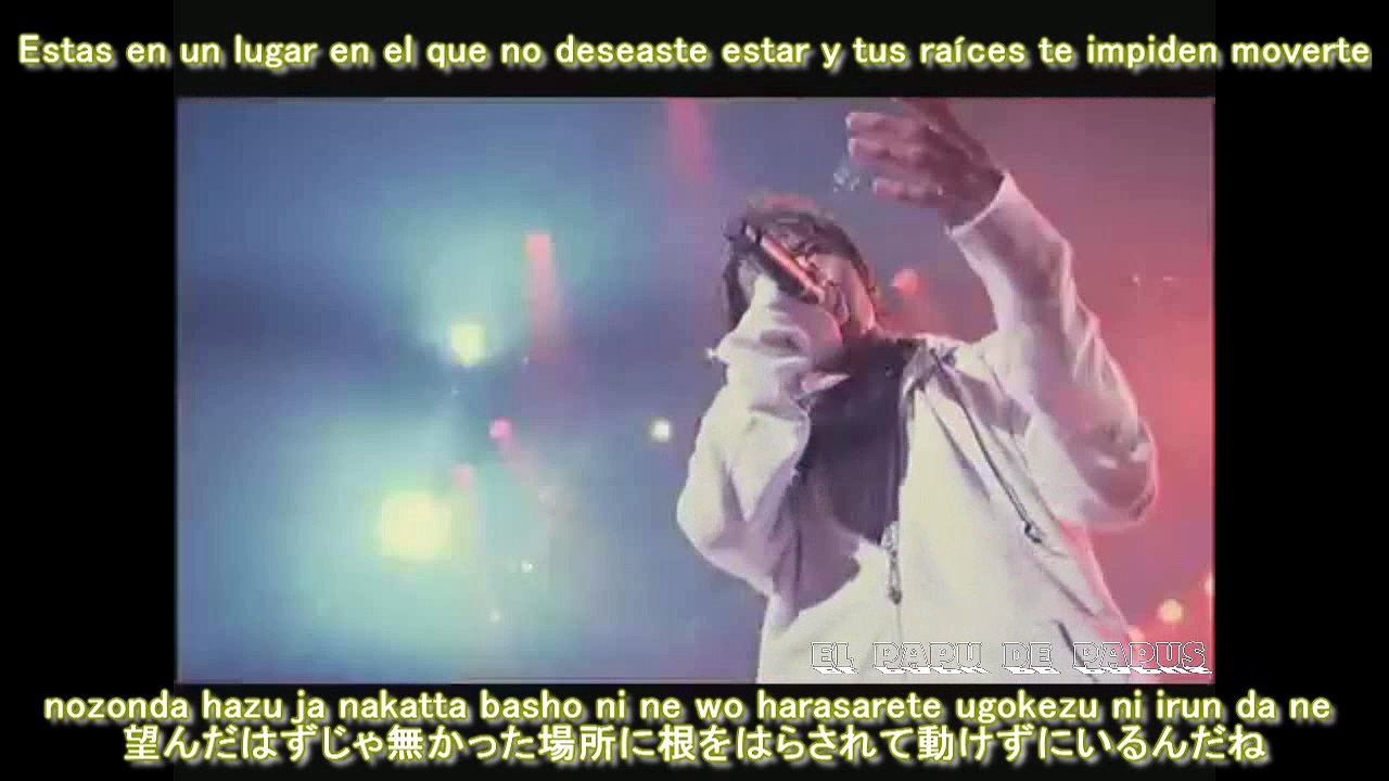 HIGH and MIGHTY COLOR - Ichirin no Hana live (Sub Español)