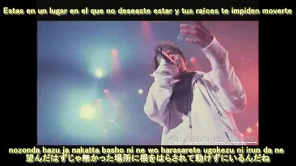 HIGH and MIGHTY COLOR - Ichirin no Hana live (Sub Español)