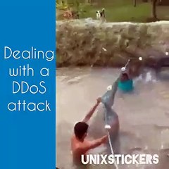 la union hace la fuerza