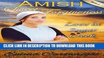 Best Seller AMISH ROMANCE: Amish Sweet Forgiveness: Short Amish Romance Inspirational Story (Love
