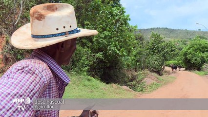 Retrato de um sobrevivente