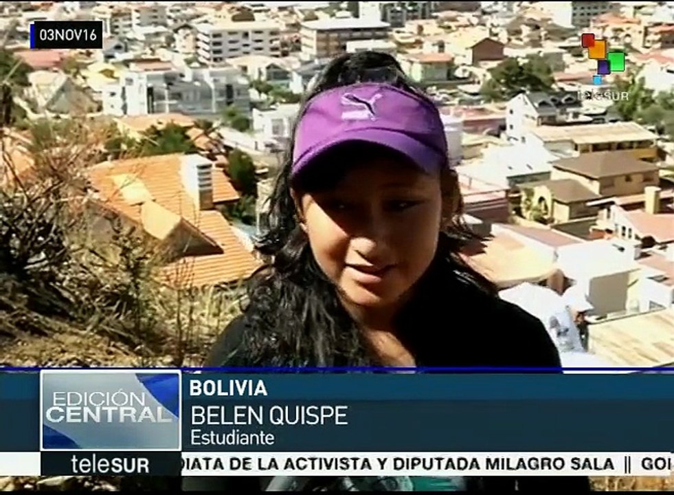 Bolivia lanza un ambicioso Plan Nacional de Reforestación