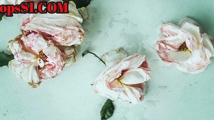 신설오피 OPSS1(닷컴) 오피에스