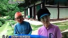 世界上最有灵性的猫 韩国一只皈依佛门的猫