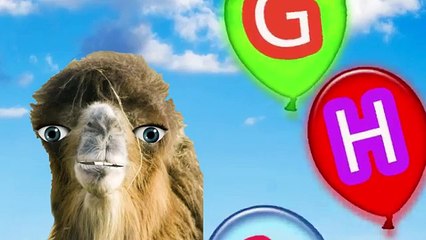 ABC Song Balloons camel