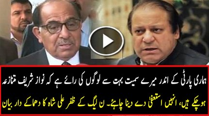Nawaz Sharif Has Become Controversial, He Should Step Down - PMLN's Zafar Ali Shah