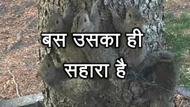 प्रेरणा कथा 63: बस उसका ही सहारा है Bas Uska Hi Sahara Hai