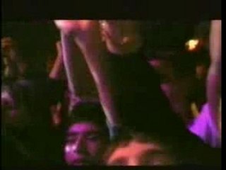 Kamelia - Luda Po Tebe