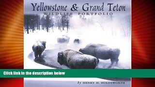 Big Deals  Yellowstone   Grand Teton Wildlife Portfolio  Best Seller Books Best Seller