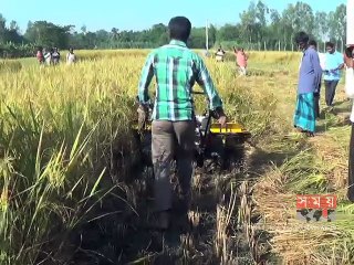 জয়পুরহাটে মাঠ দিবস পালন