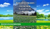 Big Deals  Wildflowers of Glacier National Park  Full Ebooks Most Wanted