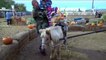 Petting ZOO at the Farm Feeding Horses and Goats Learn Animal Names for Kids-IBqvyMPidRg