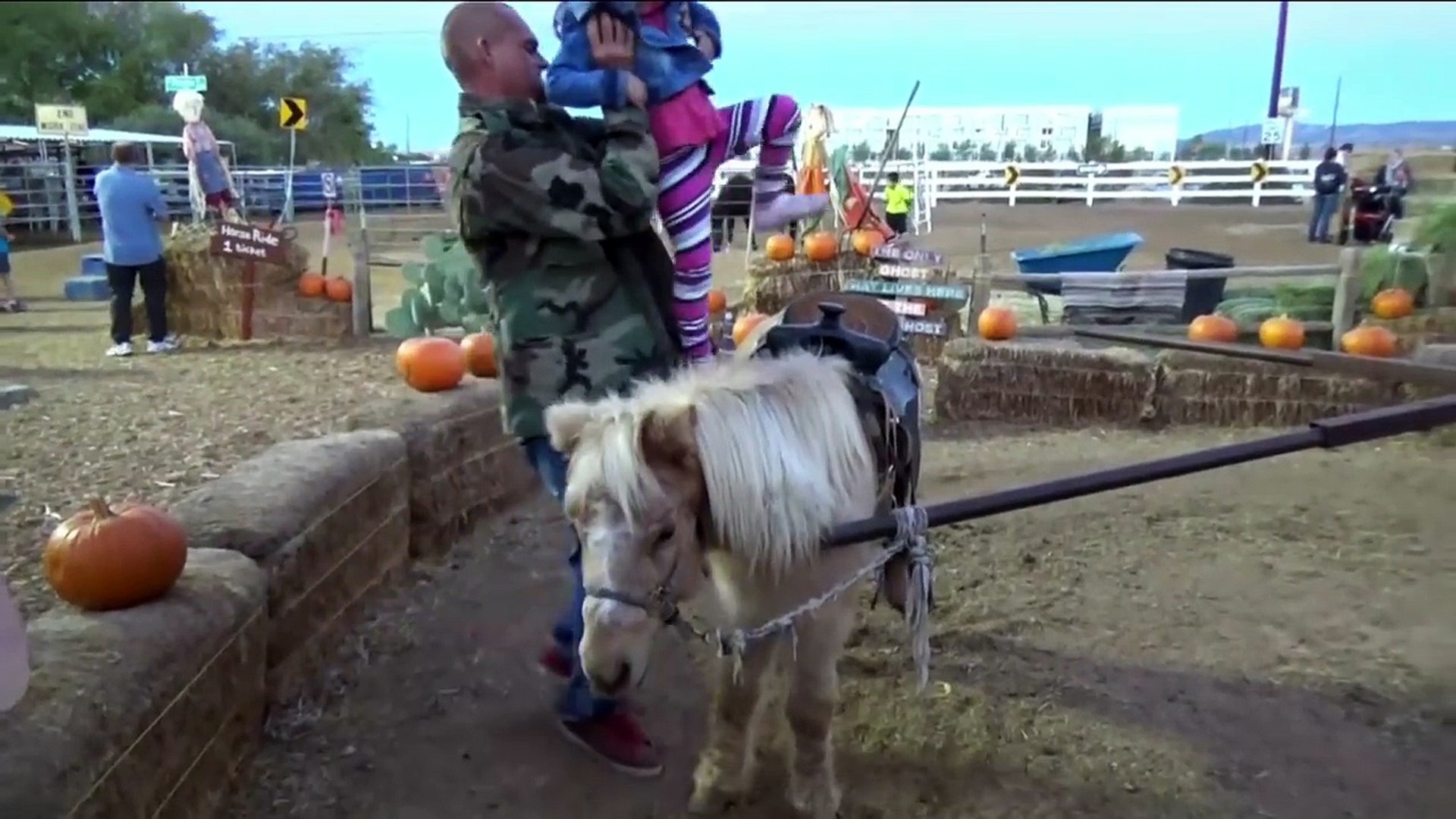 ⁣Petting ZOO at the Farm Feeding Horses and Goats Learn Animal Names for Kids-IBqvyMPidRg