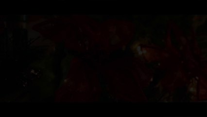 Davis Mallory - Box It Up (Original Christmas Song)