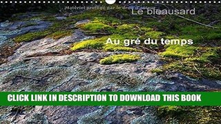 [PDF] Le Bleausard 2017: Le Calendrier Des Fans D escalade a Fontainebleau (Calvendo Sportif)