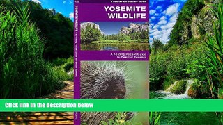 Big Deals  Yosemite Wildlife: A Folding Pocket Guide to Familiar Species (Pocket Naturalist Guide