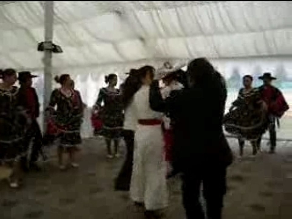 Baile de cueca
