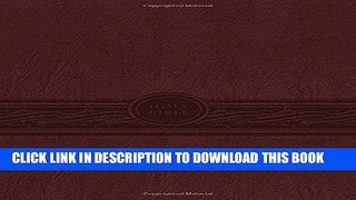 Ebook MEV Bible Personal Size Large Print Cherry Brown Indexed: Modern English Version Free Read