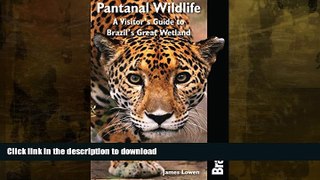 READ  Pantanal Wildlife: A Visitor s Guide To Brazil s Great Wetland (Bradt Wildlife Guides)  GET