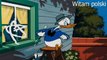Pato Donald || Pato Donald en español latino || Chip y Dale